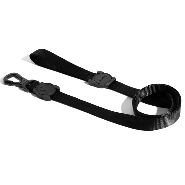 Zeedog Leash - Gotham