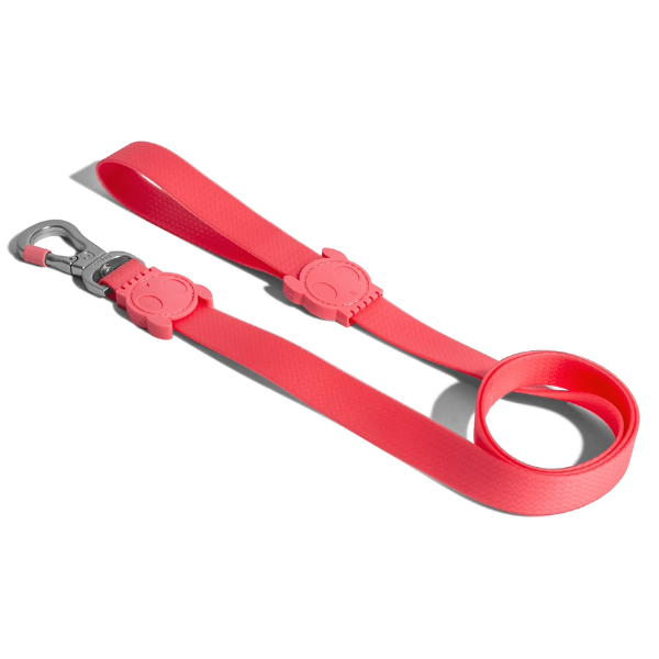 Zeedog Leash - Neopro Bubblegum
