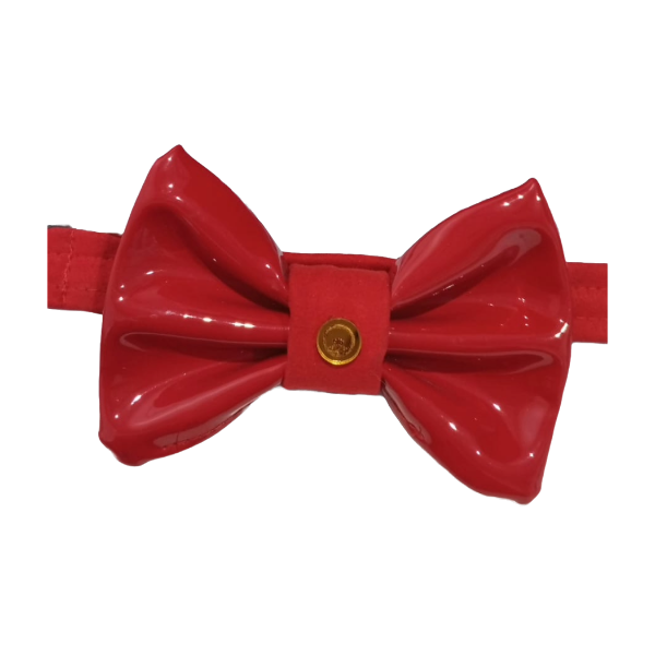 Woof Bag Project Corbatin Con Collar