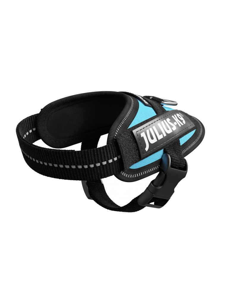 Juliusk9 Powerharness - Aquamarine