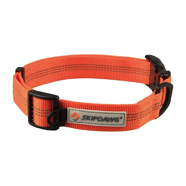 Skipdawg Collar Orange