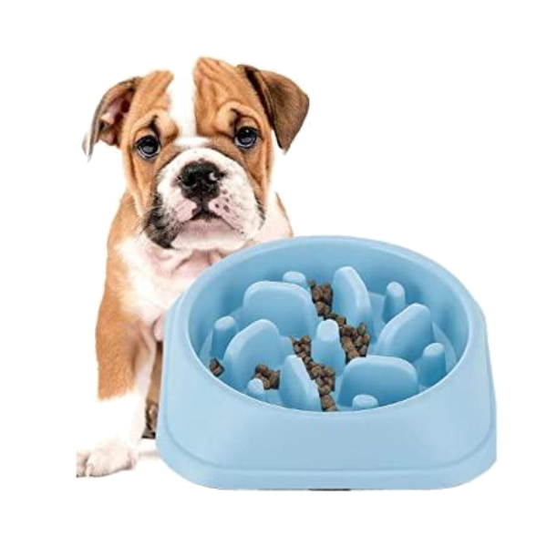 Aiko Pets Comedero Comer Lento Spill Proof