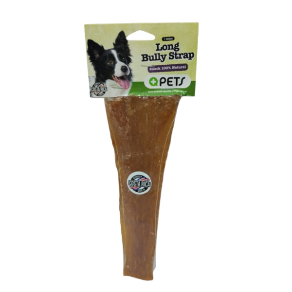 +Qpets Long Bully Strap 1 Unidad