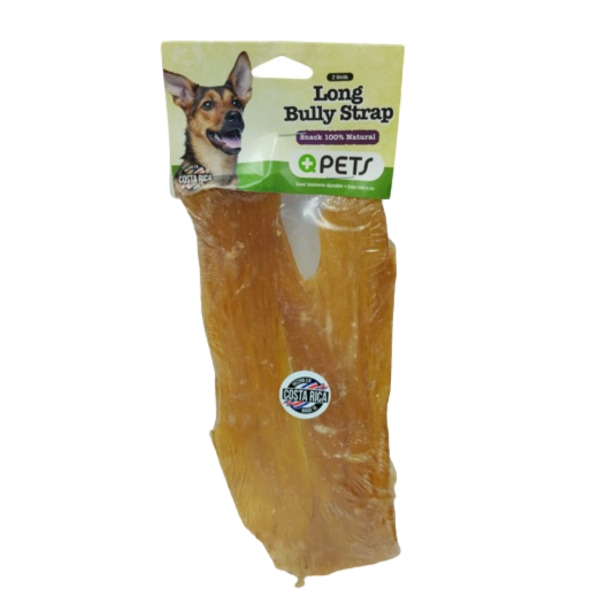 +Qpets Long Bully Strap 2 Unidades