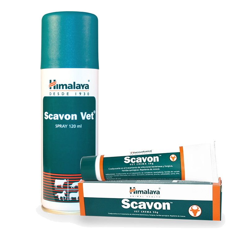 Himalaya Scavon Crema 50g