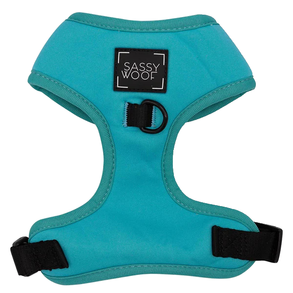 Holy Pets Neon Blue Arnes
