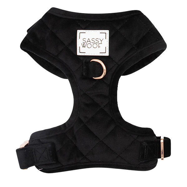 Holy Pets Velvet Arnes No Reversible