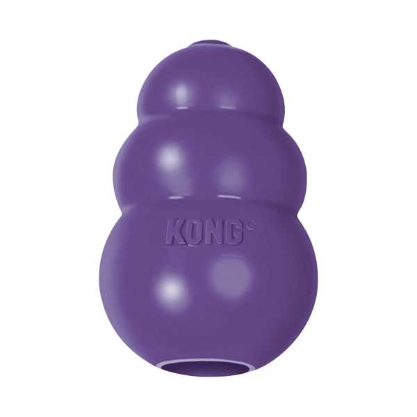 Kong Senior