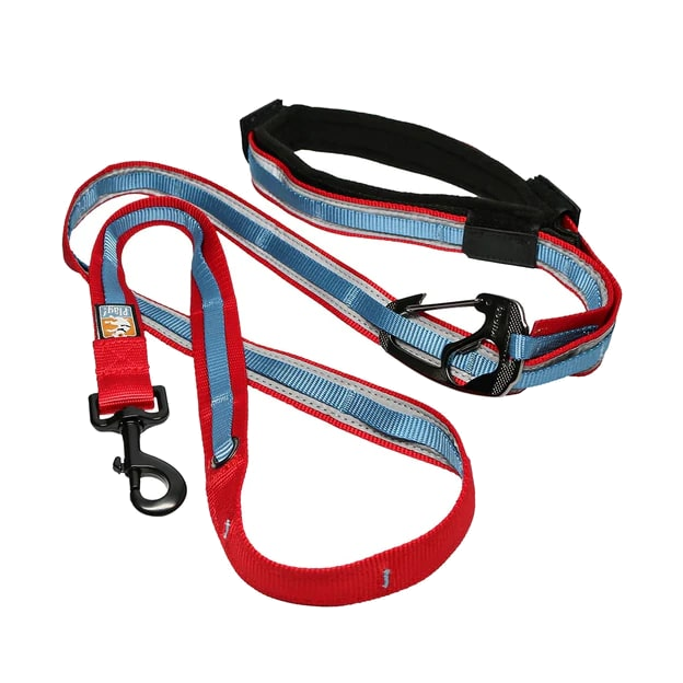 Kurgo -Quantum 6-In-1 Dog Leash