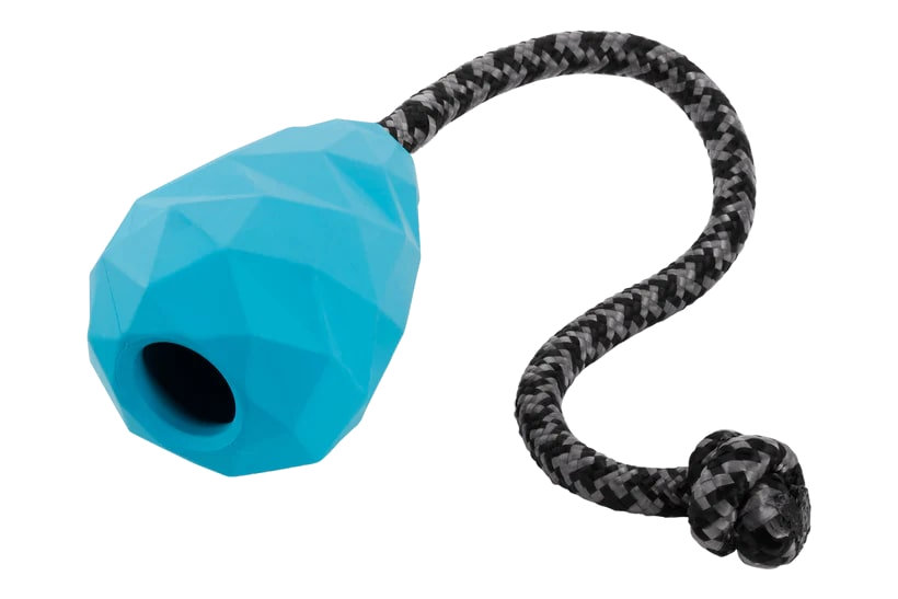 Ruffwear Huck-A-Cone - Blue Pool