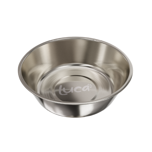 Dog It Plato Acero Inoxidable