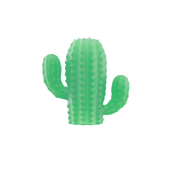 Zee.Pinz Cactus