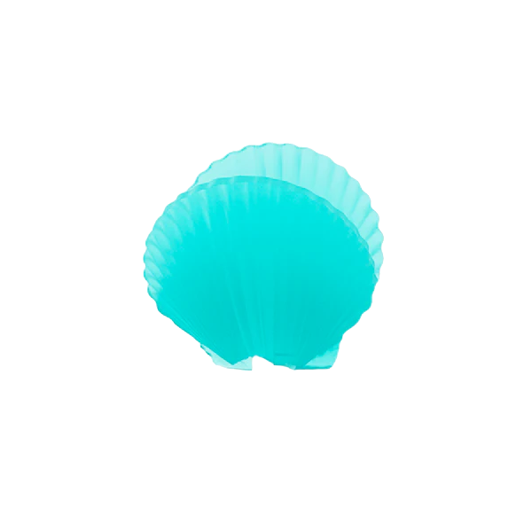 Zee.Pinz Shell