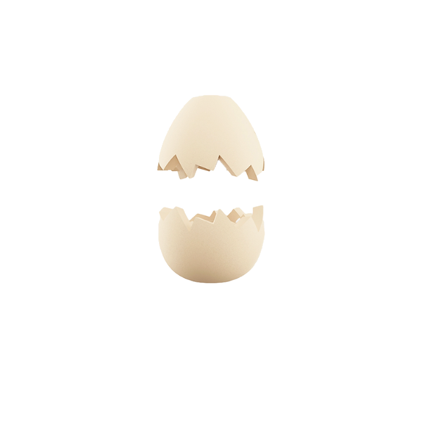 Zee.Pinz Egg