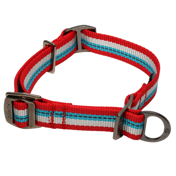 Kurgo -Walk About Limited Slip Collar Small