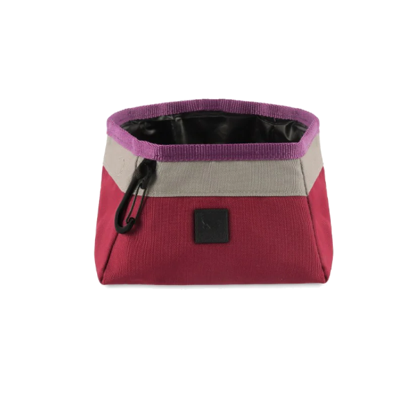 Pet Play Travel Bowl  Wildflower