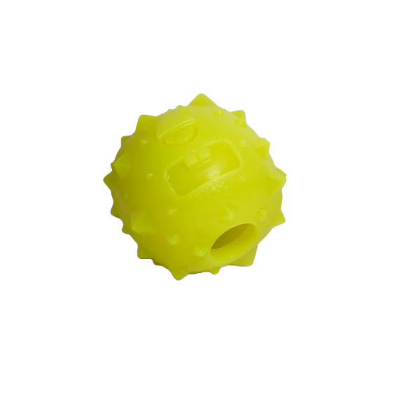 Zeedog Dog Toy - Rob The Microbe