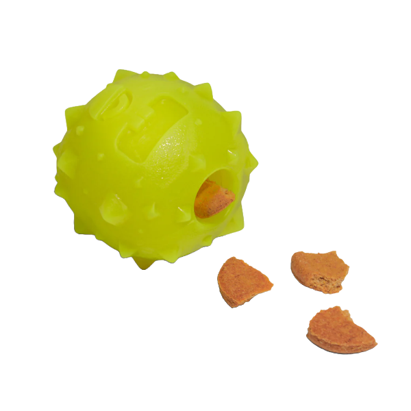 Zeedog Dog Toy - Rob The Microbe