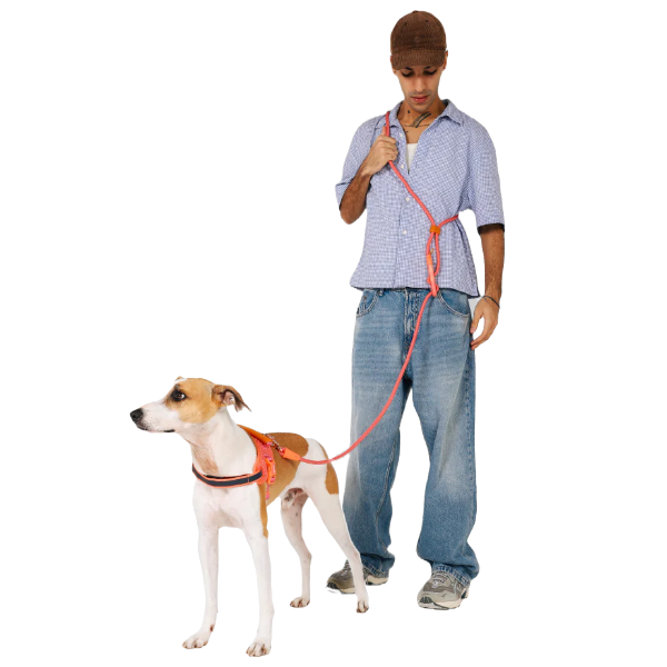 Zeedog  Gazelle Handsfree Leash