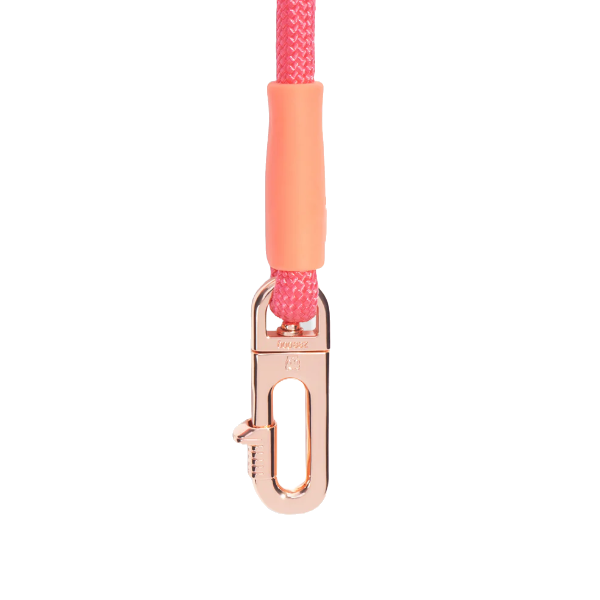 Zeedog  Gazelle Handsfree Leash