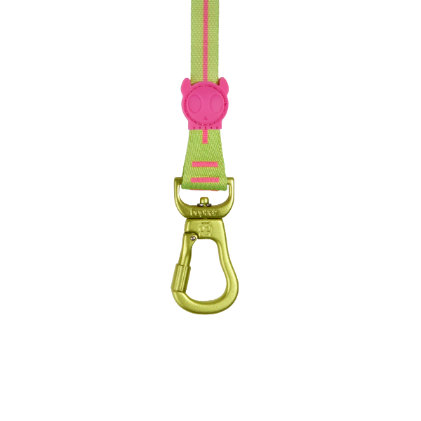 Zeedog Long Leash CMYK