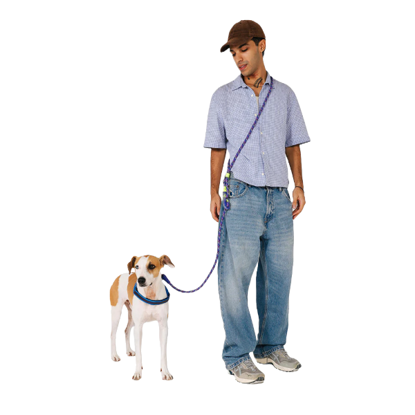 Zeedog Tokyo Handsfree Leash