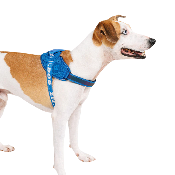 Zeedog Slam Dunk Flyharness