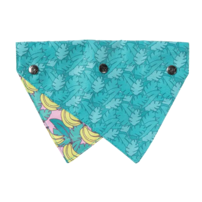 FuzzYard Bandana - Bananarama