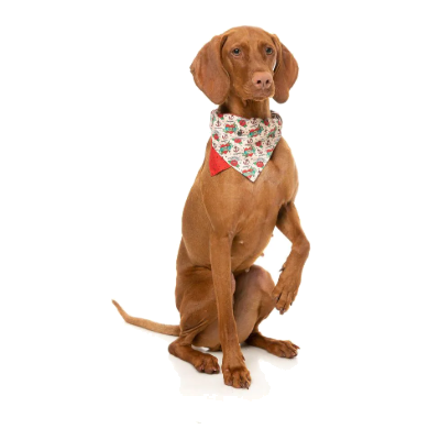 FuzzYard Bandana - Ink’d Up