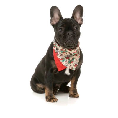 FuzzYard Bandana - Ink’d Up