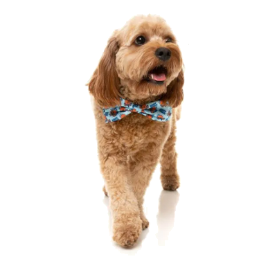 FuzzYard Bowtie - Ahoy There!