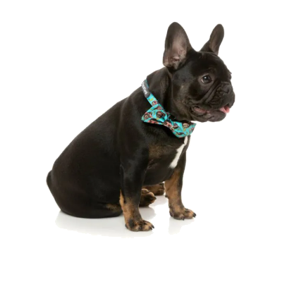 FuzzYard Bowtie - Gor-illz