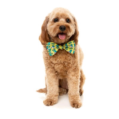 FuzzYard Bowtie - Sk8ter Gator