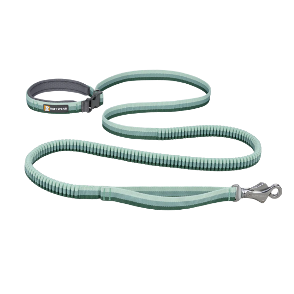 Ruffwear Roamer Bungee Dog Leash - River Rock Green