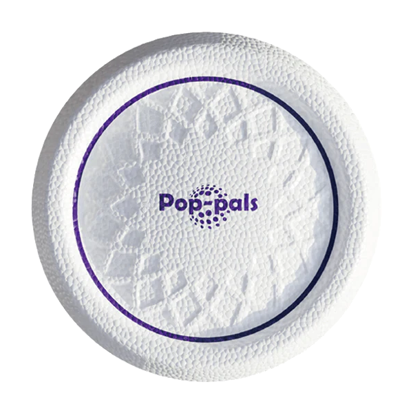 Gigwi Pop-Pals Everlasting Durable Flying Disc