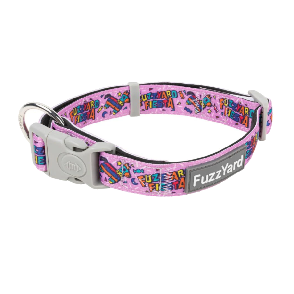 FuzzYard Dog Collar - FuzzYard Fiesta