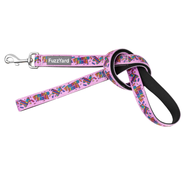 FuzzYard Dog Lead - FuzzYard Fiesta