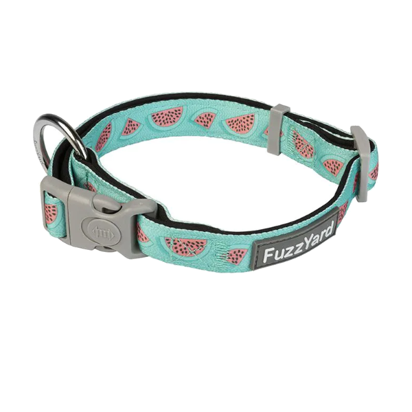 FuzzYard Collar Walking - Summer Punch - Collar