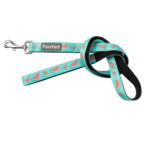 FuzzYard Lead- Walking - Summer Punch