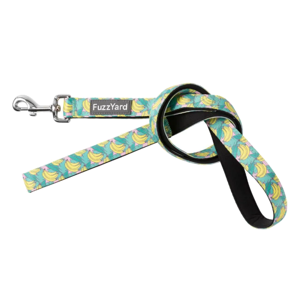 FuzzYard Dog Lead - Bananarama