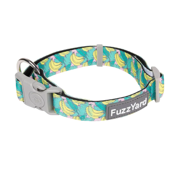 FuzzYard Dog Collar - Bananarama