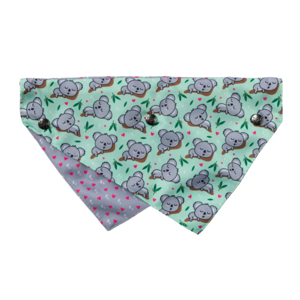 FuzzYard Bandana - Dreamtime Koala