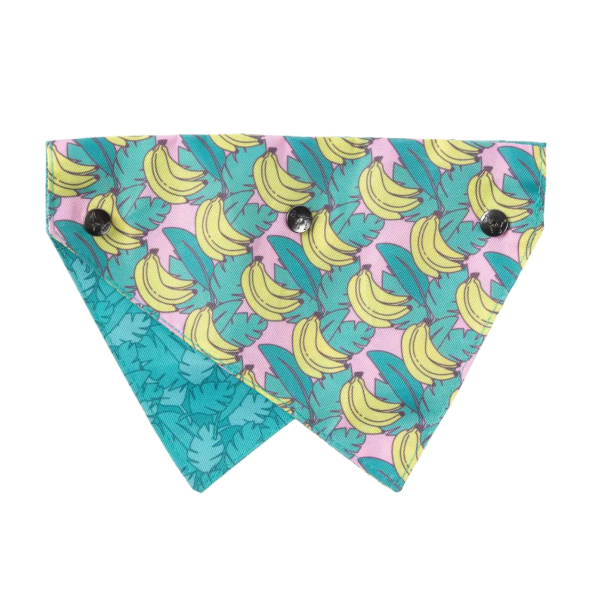 FuzzYard Bandana - Bananarama