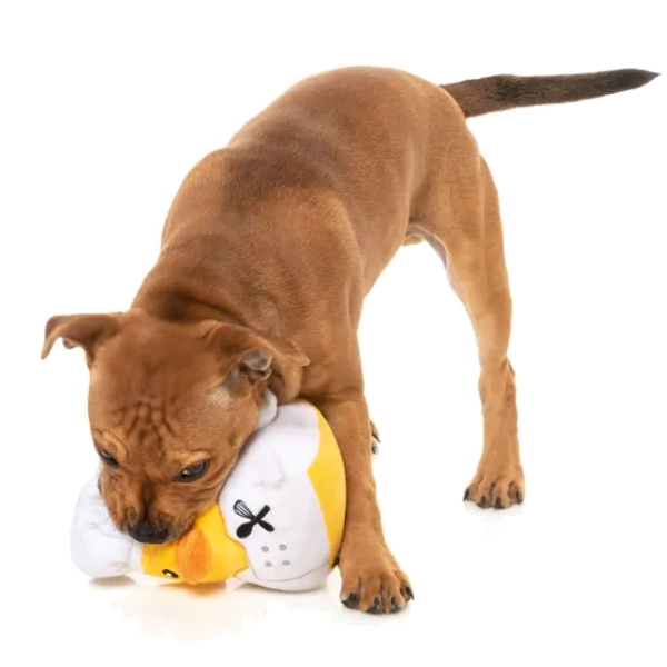 FuzzYard Dog Toy - Gordon Quacksay