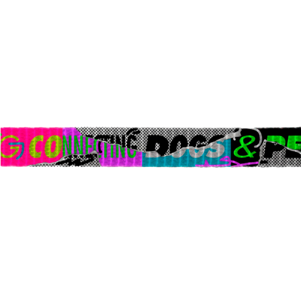 Zeedog Lords Of Zee.Town Manifesto Harness + Leash Set