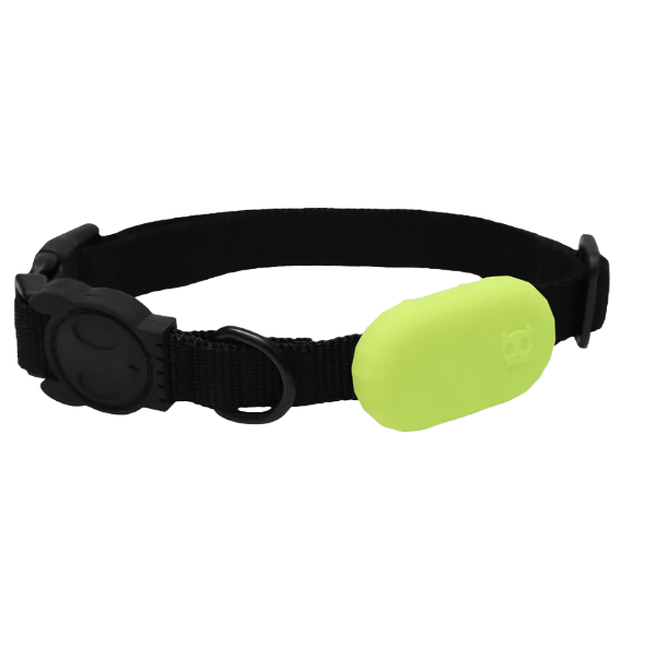 Zeedog Galaxy Tag Holder Lime