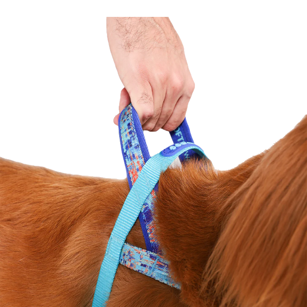 Zeedog Glitch Error 404 Softer Walk Harness