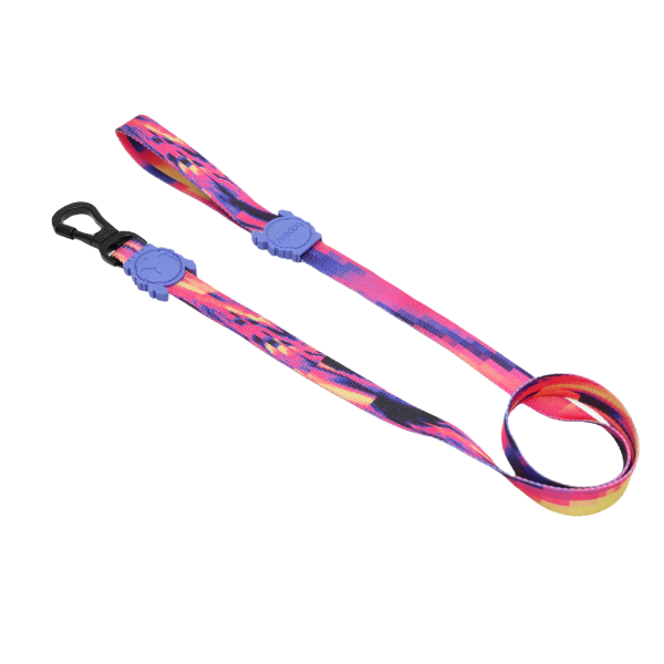Zeedog Glitch Error 500 Leash