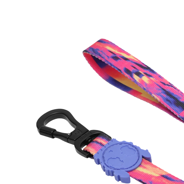 Zeedog Glitch Error 500 Leash