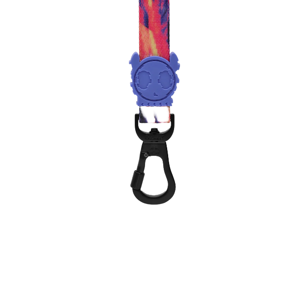 Zeedog Glitch Error 500 Leash